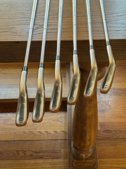 Mizuno Pro 225 Iron Set (5-PW) / Dynamic Gold MID S300 shafts (stiff)